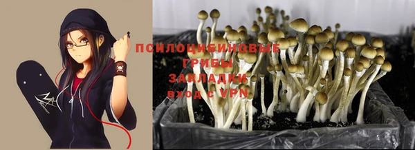 COCAINE Белоозёрский