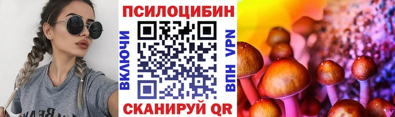 Псилоцибиновые грибы мухоморы  mega зеркало  Верещагино 